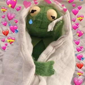 Meet your Posher, Frog